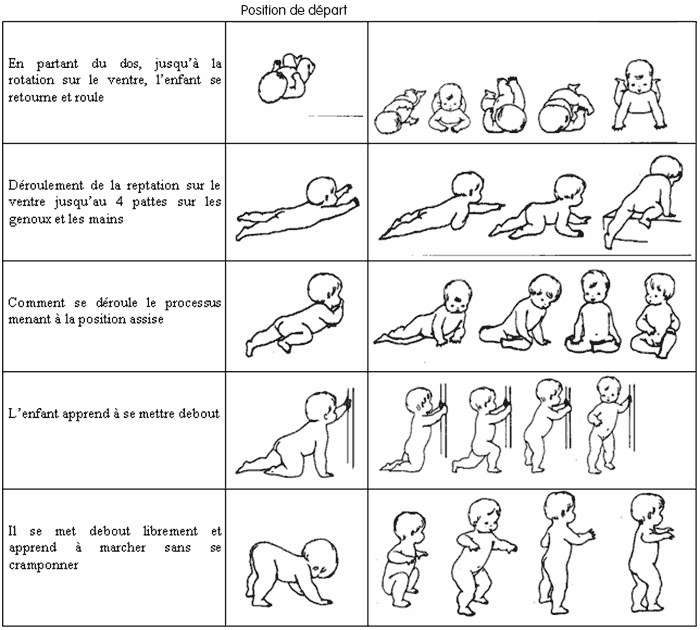 Emmi Pikler et la motricité de l'enfant - étude clinique